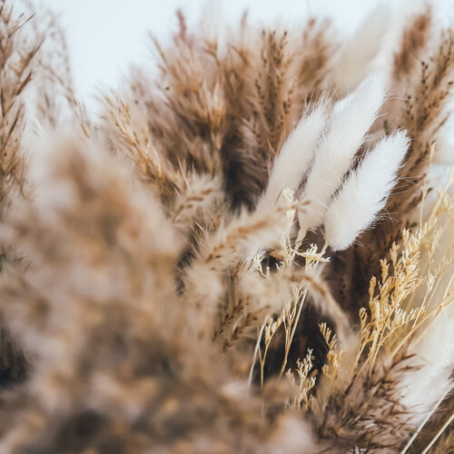 Kim Diana Grossenbacher